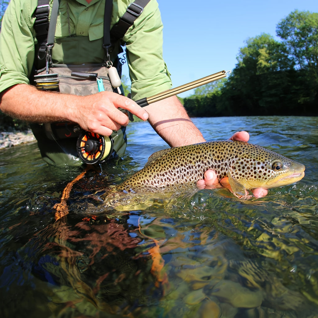 Fish Hook Remover - Aluminum Fishing Tool, Blue